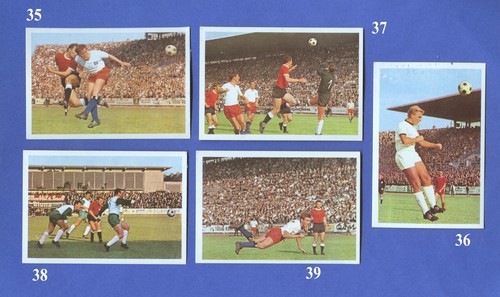 Bergmann 1966 5 - -,