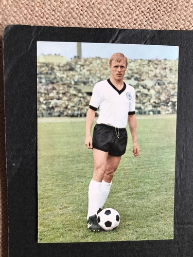 Bergmann sammelbilder tore - bergmann", tore-