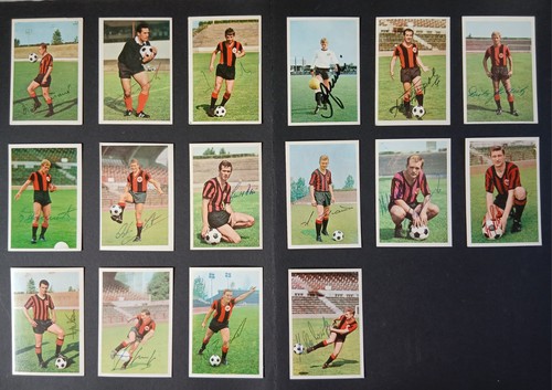 Eintracht frankfurt bergmann - eintracht,