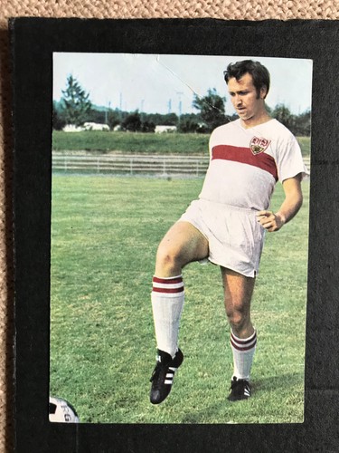 Bergmann sammelbilder tore - ",