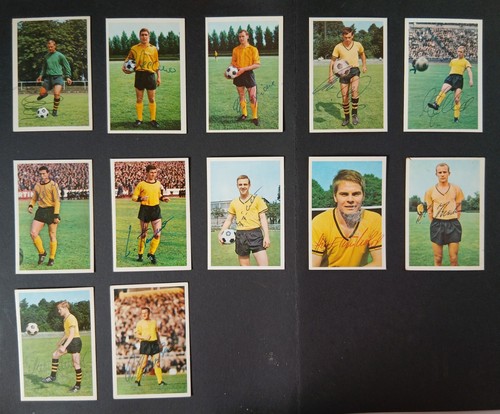 Borussia dortmund bergmann - borussia,