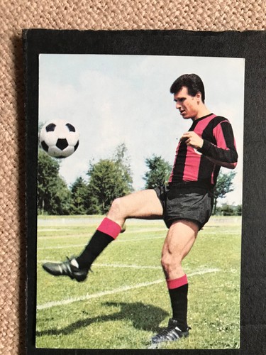 Bergmann sammelbilder tore - bergmann", tore-