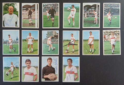 Vfb stuttgart bergmann - vfb,