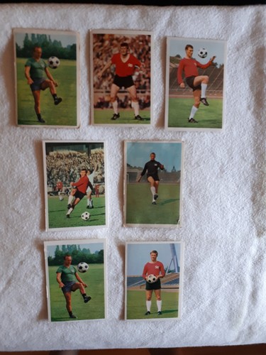 Hannover alte bergmann - 7,